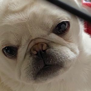 Meet your Posher, Kevin